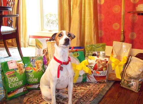 Sunny showing off with all the dog food Analise donated to Guardian Angel Pet Rescue
